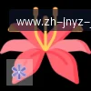 jn江南体育 logo