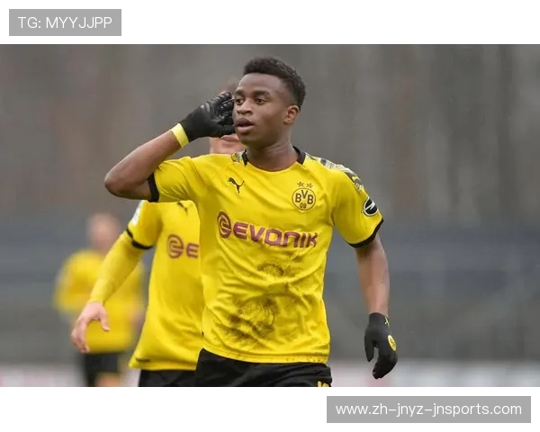 德甲冬季转会期各支球队主要变动情况盘点